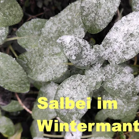 Gemuetliches Tiny House Mit Kamin, Fahrradgarage Und Sonnenterrasse Holiday home Steina (Saxony)